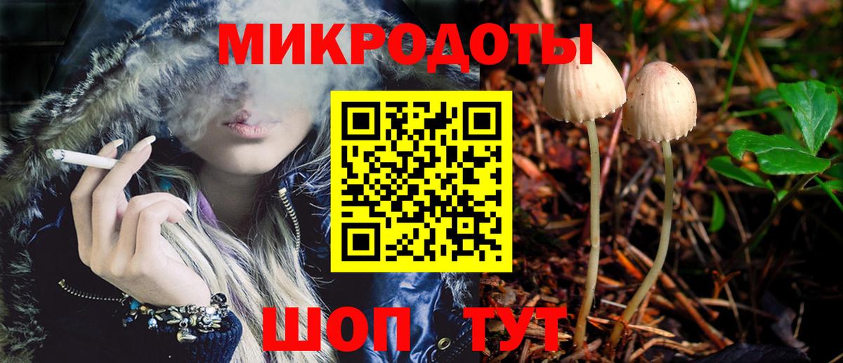 Бахчисарай  Псилоцибиновые грибы Psilocybe  Псилоцибиновые грибы прущие грибы  Вход с VPN 